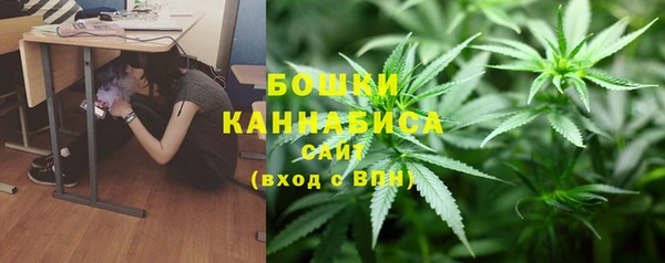 сатива Гусь-Хрустальный