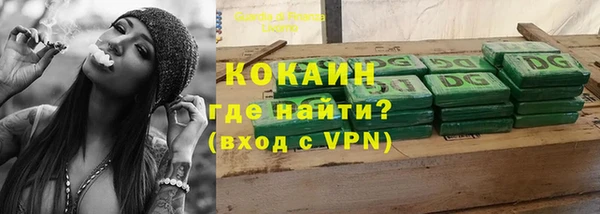 сатива Гусь-Хрустальный