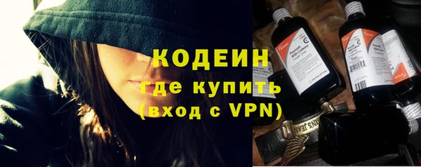 таблы Гусев