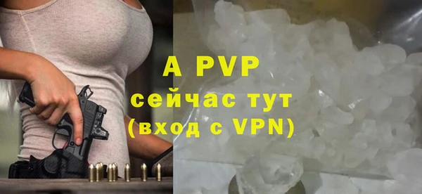 таблы Гусев