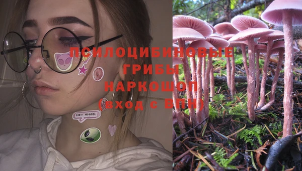 сатива Гусь-Хрустальный