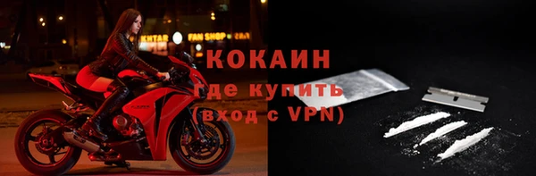 таблы Гусев