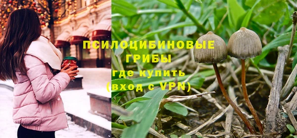сатива Гусь-Хрустальный