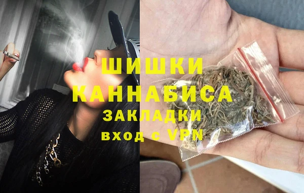 сатива Гусь-Хрустальный