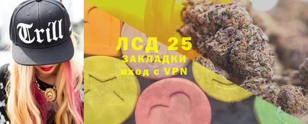 таблы Гусев