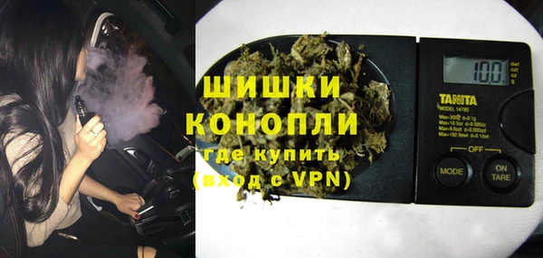 сатива Гусь-Хрустальный